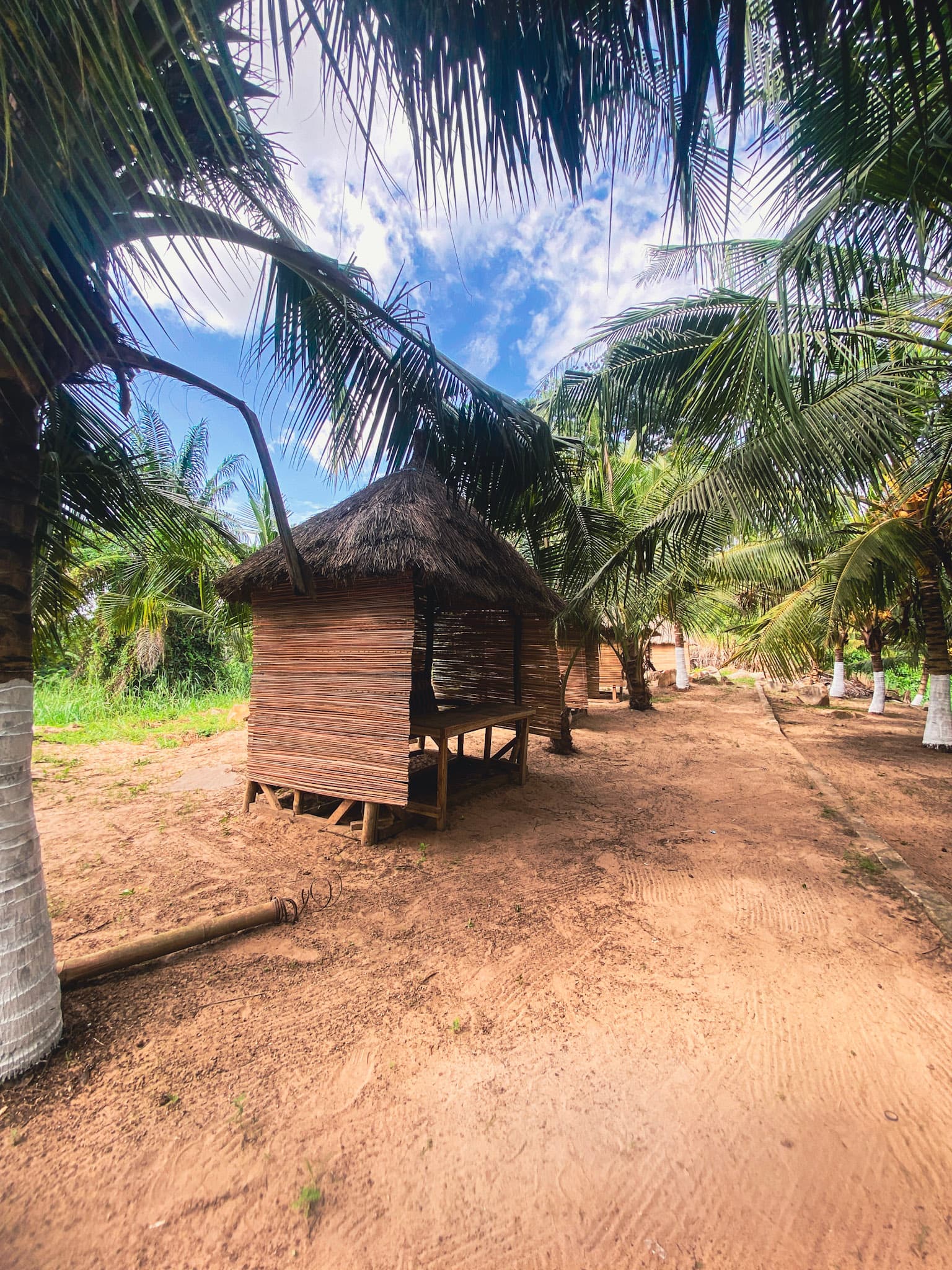 Architecture bungalow