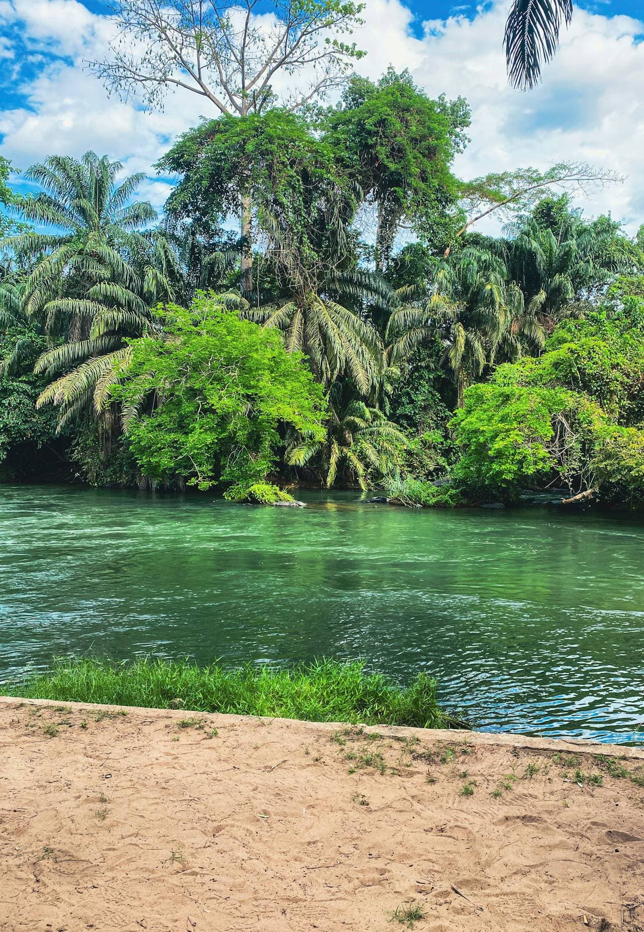 Rochers et nature au bord du Bandama